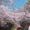 서초 중앙 행정사 사무소 이미지