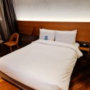 호텔 페이토 | 양재역 도보 3분 <호텔 페이토 강남> 숙박 후기(feat.더블린브루어리 강남점)