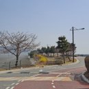 씨사이드파크 카페테리아화장실 이미지