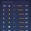 울릉도PC방 | 울릉도 여행 1. 울릉크루즈 관음도 사동해변 스노쿨링 삼정본가식당 울릉어민식당