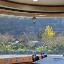 금강산가든 | 밀양 삼랑진맛집 안태가든 돼지갈비 후기