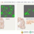 21세기한일병원 이미지