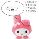 대구 톡톡사랑니치과의원 사랑니 발치 후기