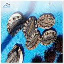 완도전복 이미지