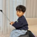 이지글로벌 | 4살 아기 타는캐리어 추천, 마이크로 러기지 이지 여행필수품 후기