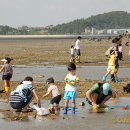 계도어촌체험휴양마을 이미지