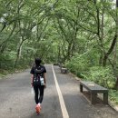 파란나라 | 서울둘레길 2코스 (용마-아차산) 12.4km