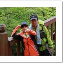 카페송림 이미지