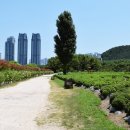 태화강국가정원 이미지