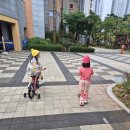 감일근린2호공원 이미지