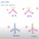 [적중2000] 8장 루이스 구조, 분자 오비탈 20번 이미지