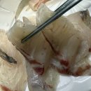 씨유굴화월드점 | 울산 굴화 회포장 맛집 두리두리 회센터굴화점