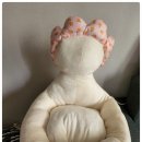 둥지애견 이미지