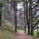 치악산둘레길 11코스 한가터길 이미지