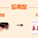 FM 육가공
