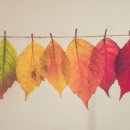 영월행정사사무소 이미지