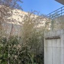 라프커피(LLAF COFFEE) 이미지