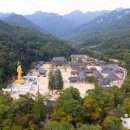 배영숙 산야초밥상 이미지