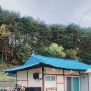마나긔 하우스 이미지