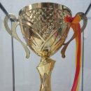 보성태권도장 이미지