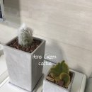 팔선농장 이미지