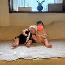 적선지가 덕양점 | 적선지가 덕양점, 4개월 아가와 함께 했던 감성 여행 후기