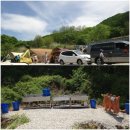 캠프리카 이미지