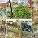 풍성농원 이미지