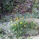 가마실공원 이미지