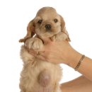 해봄동물병원 이미지