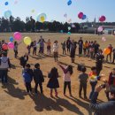 금일초등학교 이미지