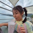 마소마레 | 거제 여행 필수 코스! 소노캄 거제에서 가기 좋은 마소마레(Massomare) 거제 카페 후기