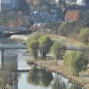 사랑이 머무는 둥지 이미지