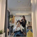 수연헤어칼라 이미지