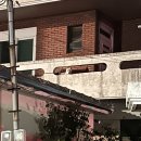 동백장 | [제주시 숙소] 애월 가성비 게하 동백장 게스트하우스 내돈내산 후기 시설 가격 위치 파티