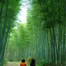 죽산  마을회관 이미지