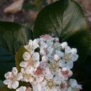 청풍농장 이미지