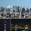 세련2농장 이미지