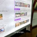 반구정교 | 가볼 만한 곳] 백제의 숨결을 찾아 떠나는 역사 탐방, ‘몽촌토성 백제집자리전시관’ 생생 방문 후기!