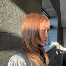 도영1호 이미지