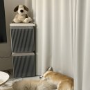 진성목장 이미지