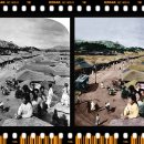 컬라로 재현한 100년전 서울 풍경 이미지