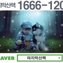 아름다운애견세상 이미지