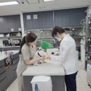 마북동 주민센터 | 용인24시 마북동 동물병원 눈물의 우당탕탕 유선종양 후기