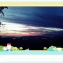 아랫가치래미(하가) | 가마나에서 왔었다~!!!