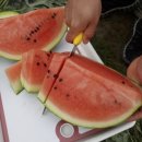 이석농장 이미지