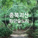 화양숲노리캠핑장 장단점 리얼후기