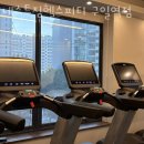 네스트짐 헬스피티 이미지