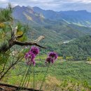 연풍레포츠공원 이미지