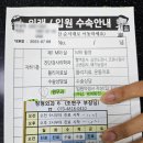 의료법인 백천의료재단 바로본병원 | [바로본병원 조현구원장님 짱👍] 카티스템 줄기세포·오다리 교정술로 진행한 퇴행성 관절염 수술 후기